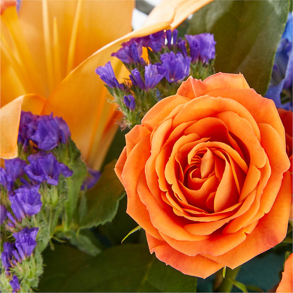 Radiant Citrus Box Bouquet – Flowers By Albert, Lowell MA