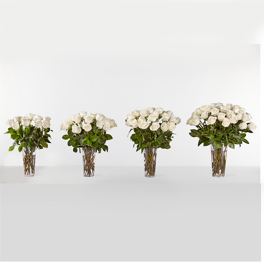 Long Stem White Rose Bouquet – Flowers By Albert, Lowell MA