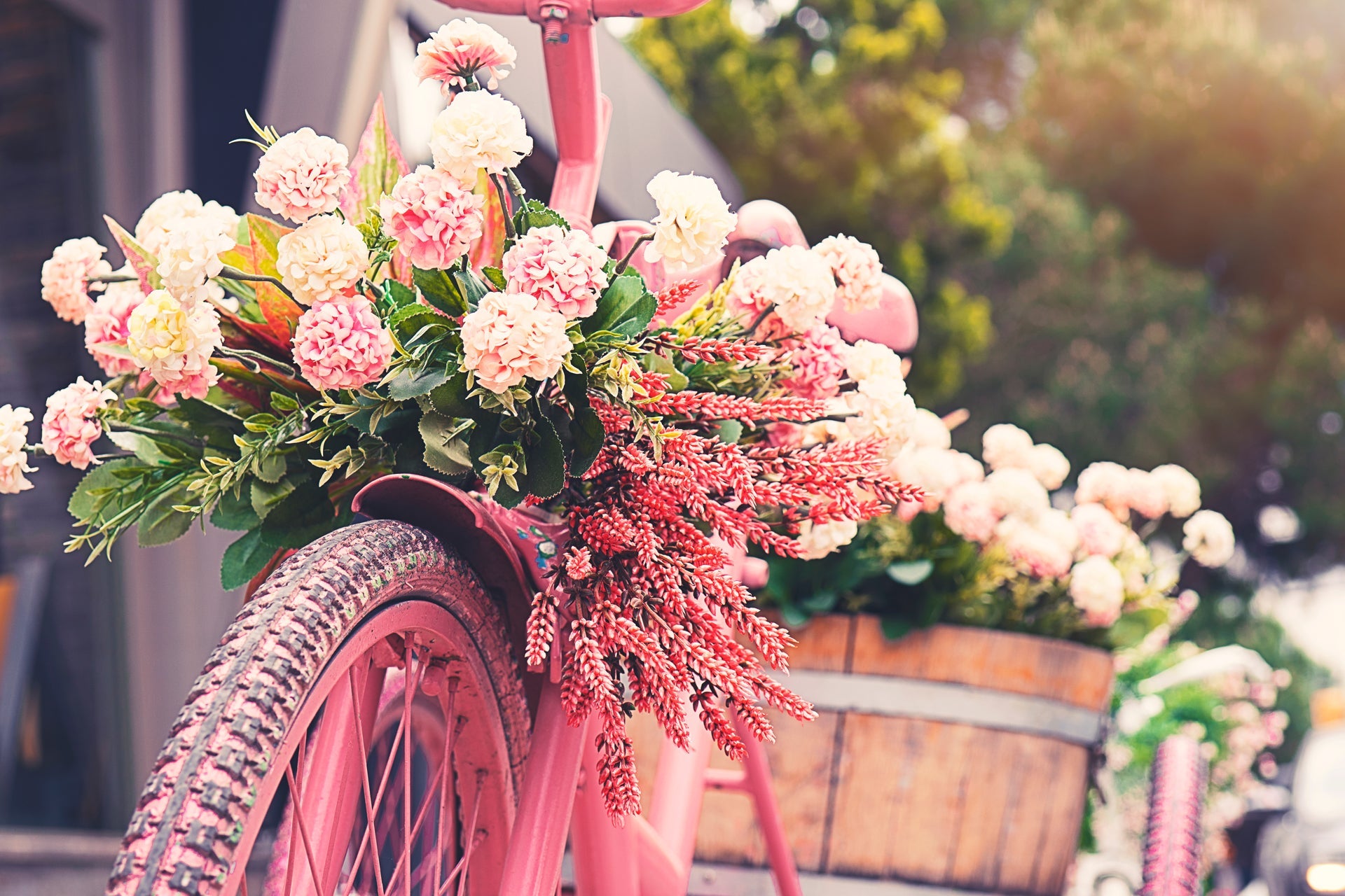 Pink Flowers | Flowers By Albert Lowell–Flowers By Albert
