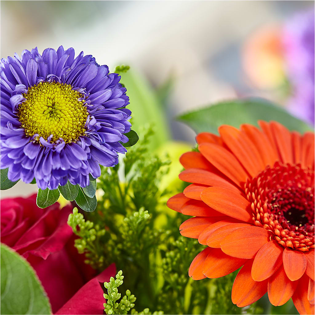 Bold & Bright – A Florist Original –  Flowers By Albert, Lowell MA