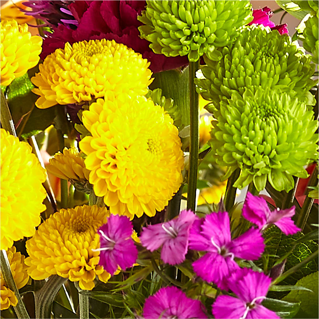 Bold & Bright – A Florist Original –  Flowers By Albert, Lowell MA