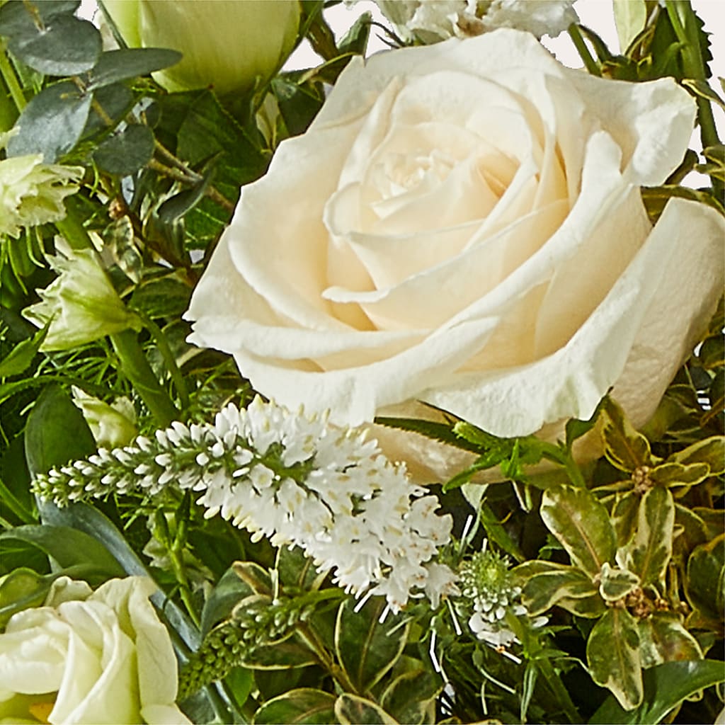 Cashmere Bouquet –  Flowers By Albert, Lowell MA