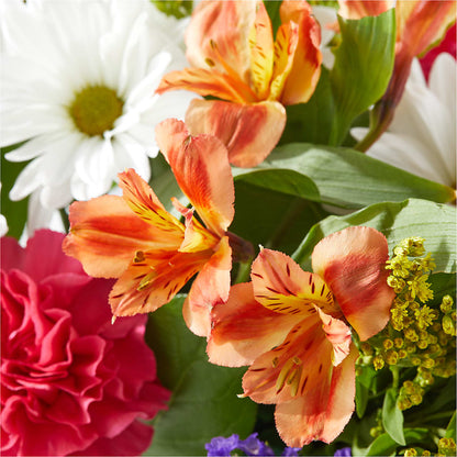 Oopsie Daisy Box Bouquet –  Flowers By Albert, Lowell MA