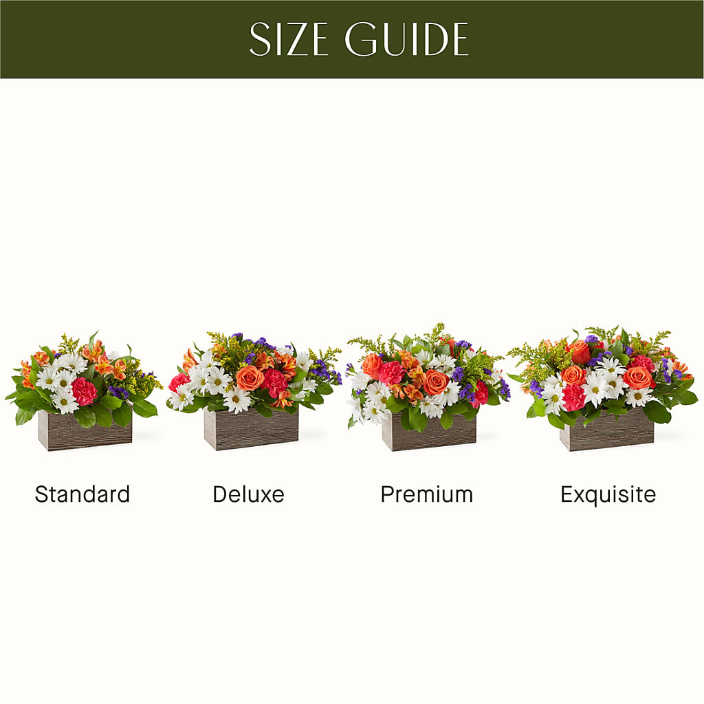 Oopsie Daisy Box Bouquet –  Flowers By Albert, Lowell MA