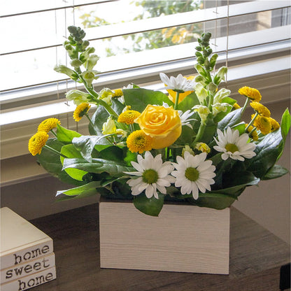 Sun Salutation Box Bouquet –  Flowers By Albert, Lowell MA