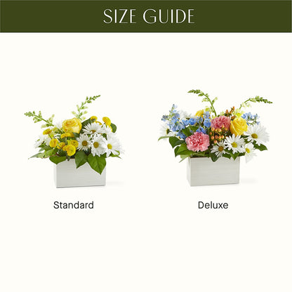 Sun Salutation Box Bouquet –  Flowers By Albert, Lowell MA