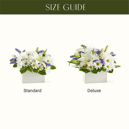 Beyond Blue Box Bouquet –  Flowers By Albert, Lowell MA
