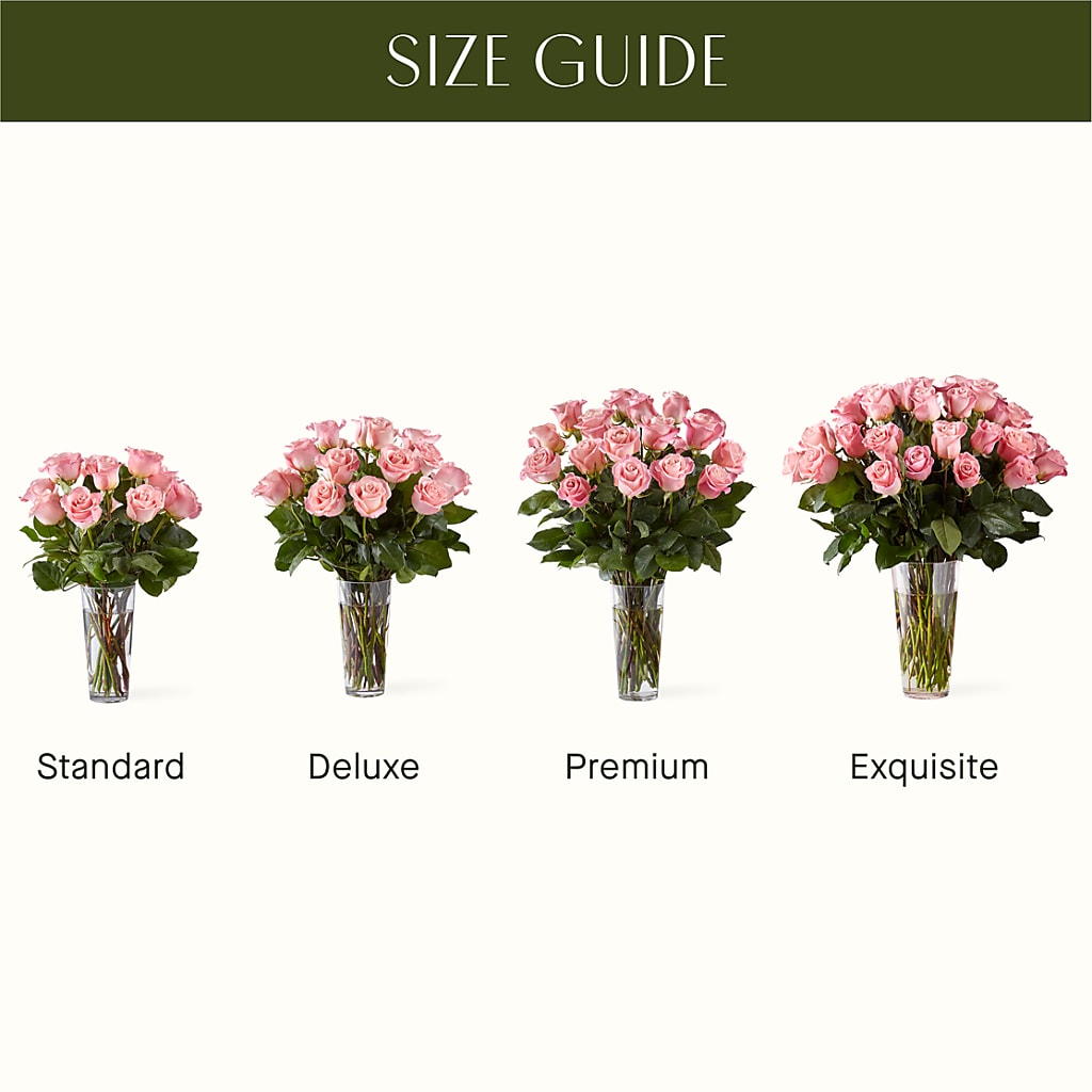Long Stem Pink Rose Bouquet –  Flowers By Albert, Lowell MA