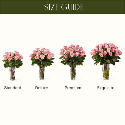 Long Stem Pink Rose Bouquet –  Flowers By Albert, Lowell MA
