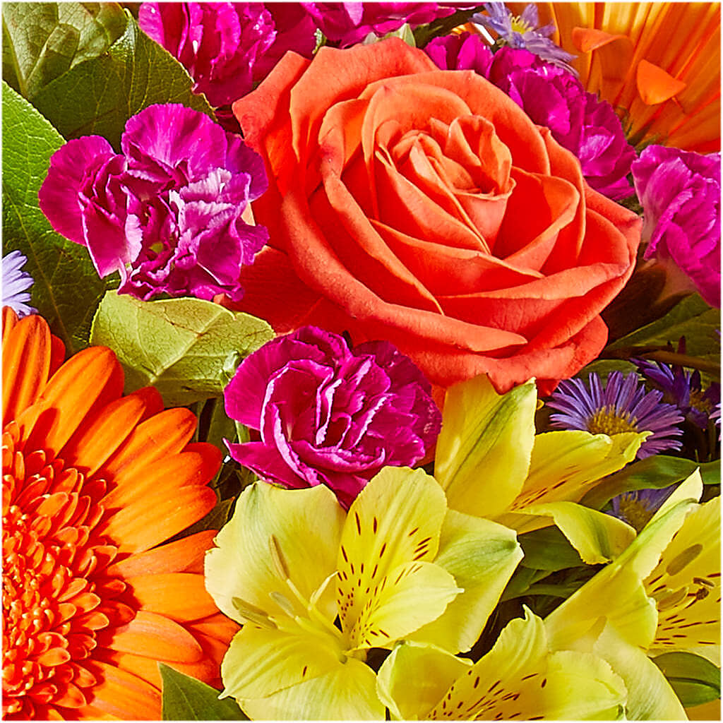 Tricks & Treats Pumpkin –  Flowers By Albert, Lowell MA