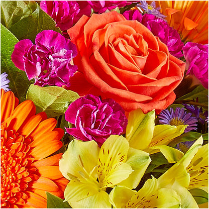 Tricks & Treats Pumpkin –  Flowers By Albert, Lowell MA