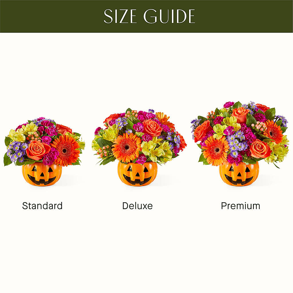 Tricks & Treats Pumpkin –  Flowers By Albert, Lowell MA