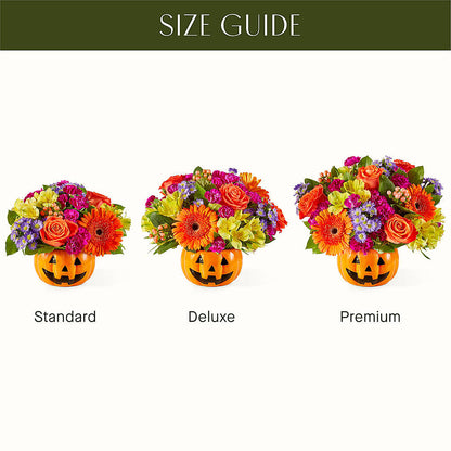 Tricks & Treats Pumpkin –  Flowers By Albert, Lowell MA