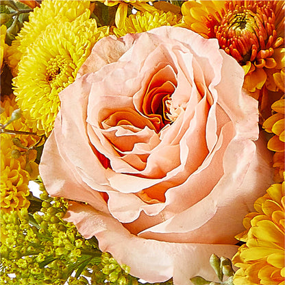Peachy Pumpkin –  Flowers By Albert, Lowell MA
