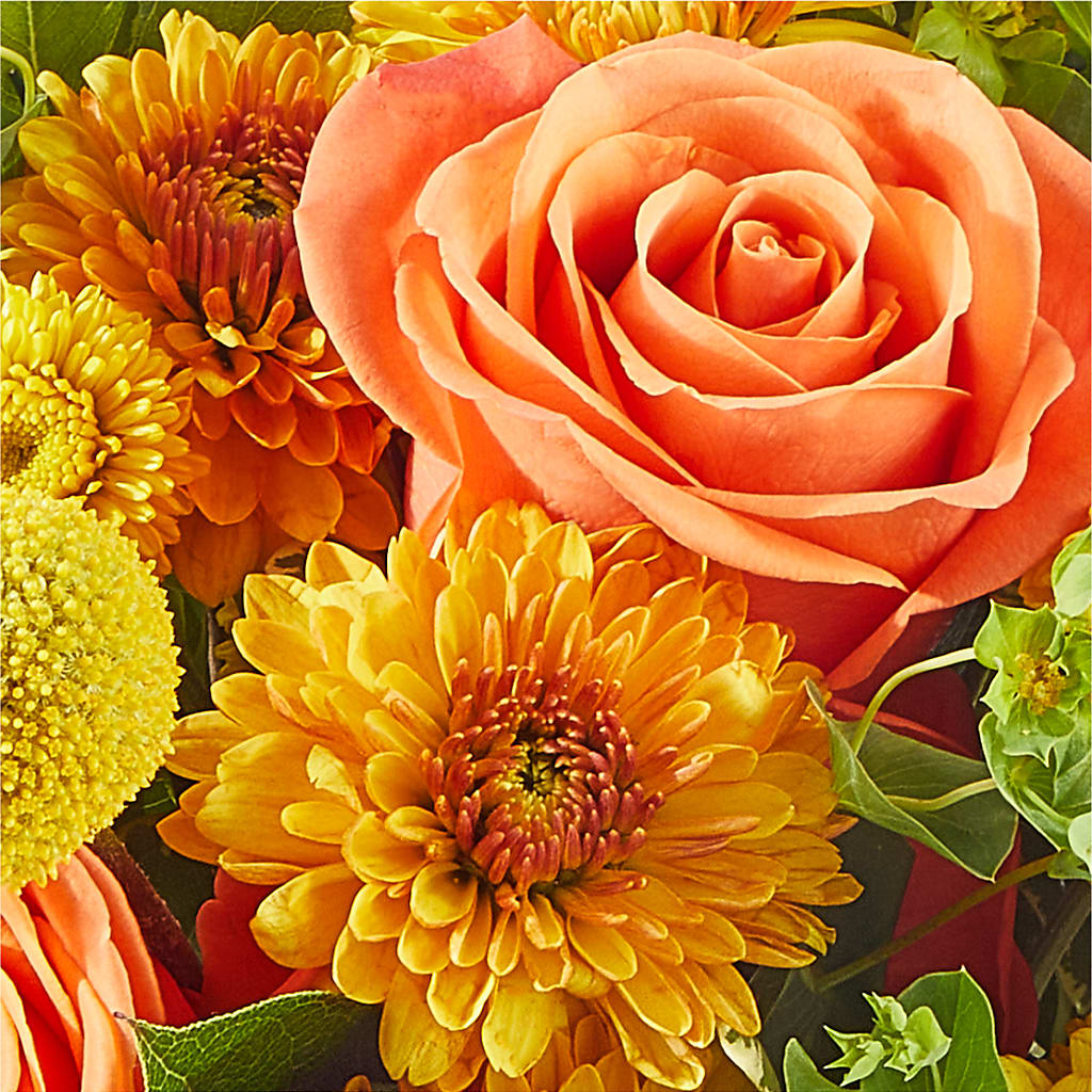Gourdgeous Pumpkin –  Flowers By Albert, Lowell MA
