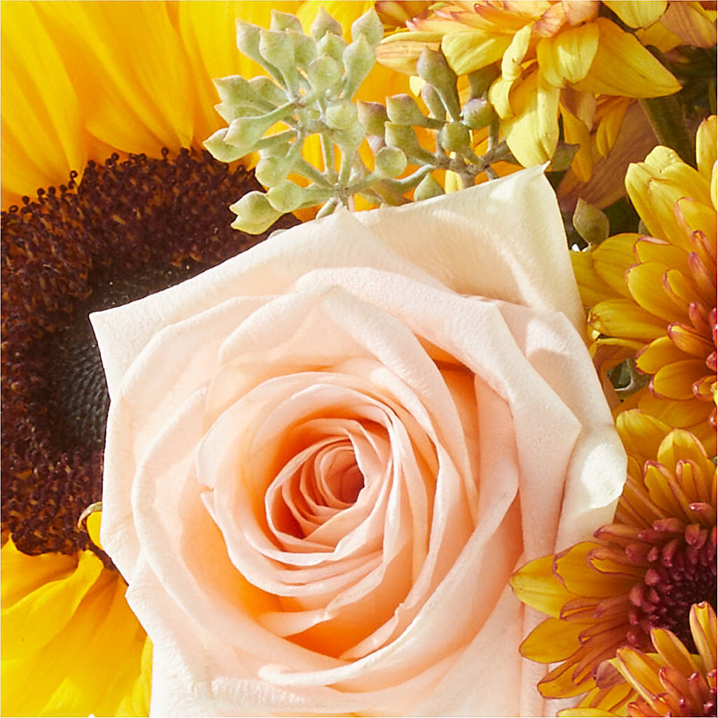 Pumpkin to Talk About Bouquet –  Flowers By Albert, Lowell MA