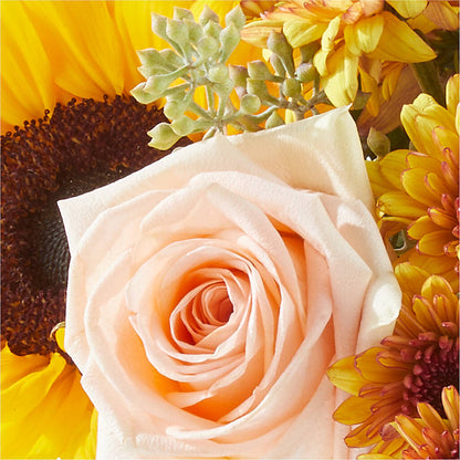 Pumpkin to Talk About Bouquet –  Flowers By Albert, Lowell MA