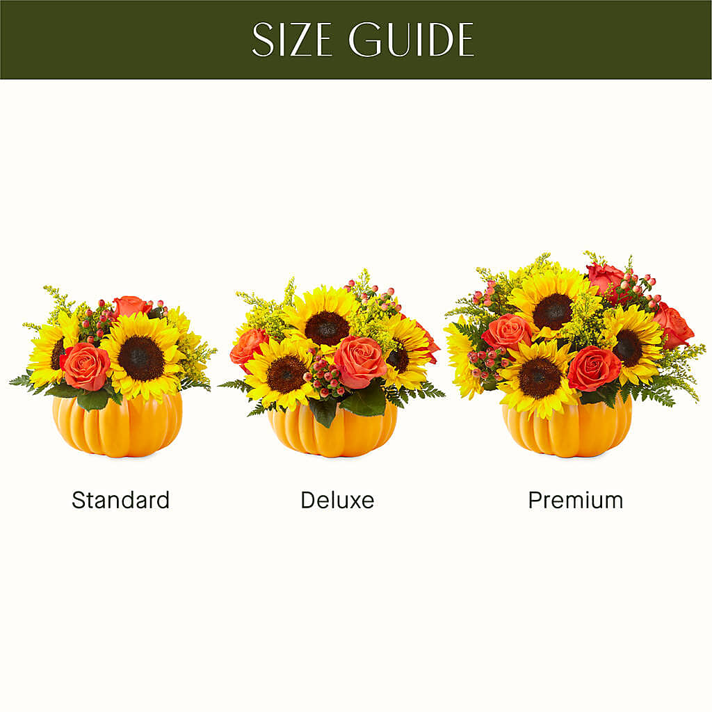 Pick of the Patch Pumpkin Bouquet –  Flowers By Albert, Lowell MA