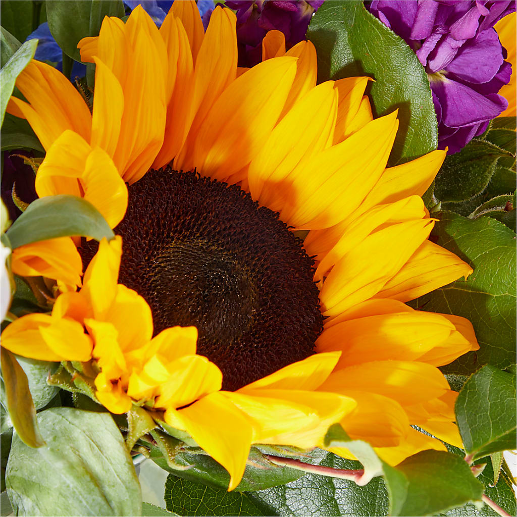 Catching Rays Bouquet –  Flowers By Albert, Lowell MA
