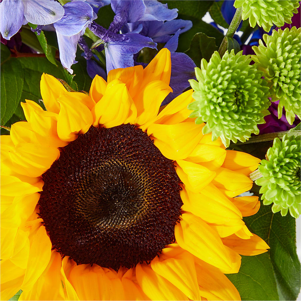 Catching Rays Bouquet –  Flowers By Albert, Lowell MA