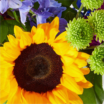 Catching Rays Bouquet –  Flowers By Albert, Lowell MA