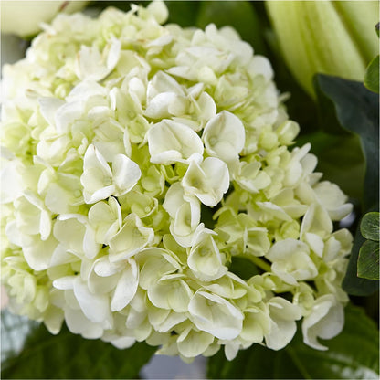 Classic Ivory – A Florist Original –  Flowers By Albert, Lowell MA