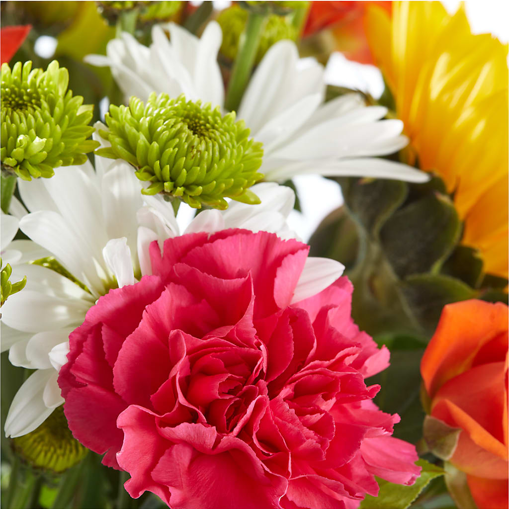 Sun-drenched Blooms Bouquet –  Flowers By Albert, Lowell MA
