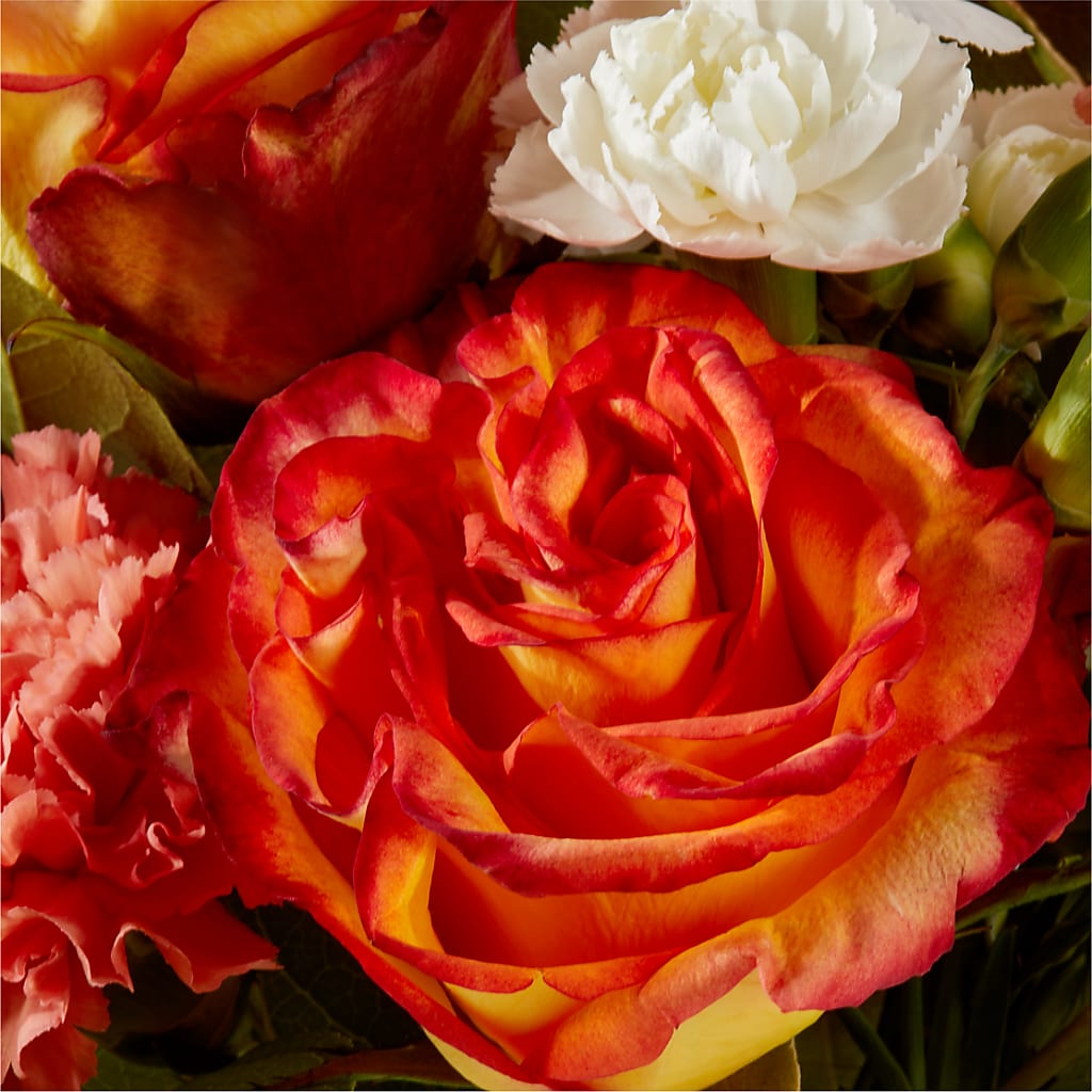 Apricot Glow Bouquet –  Flowers By Albert, Lowell MA