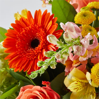 Autumn Sunshine Bouquet –  Flowers By Albert, Lowell MA