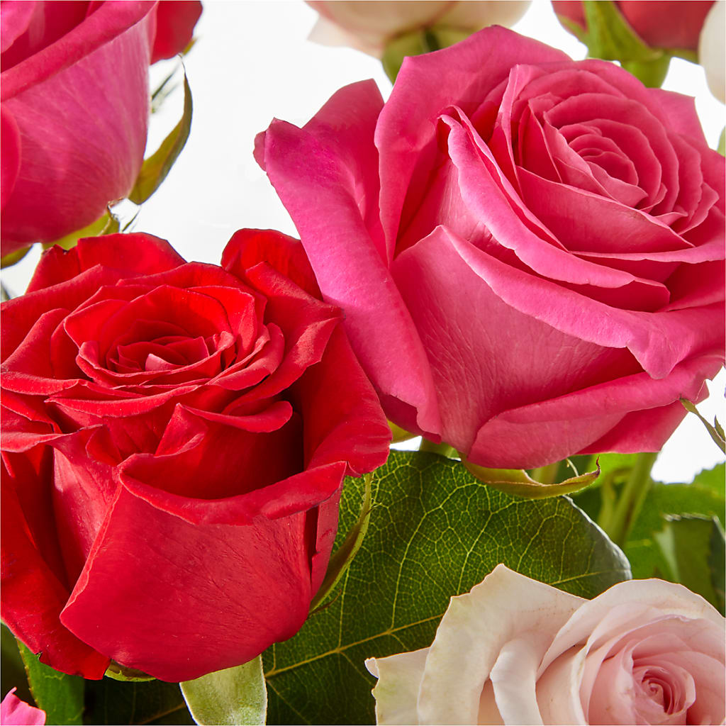 Charming Rose Bouquet –  Flowers By Albert, Lowell MA