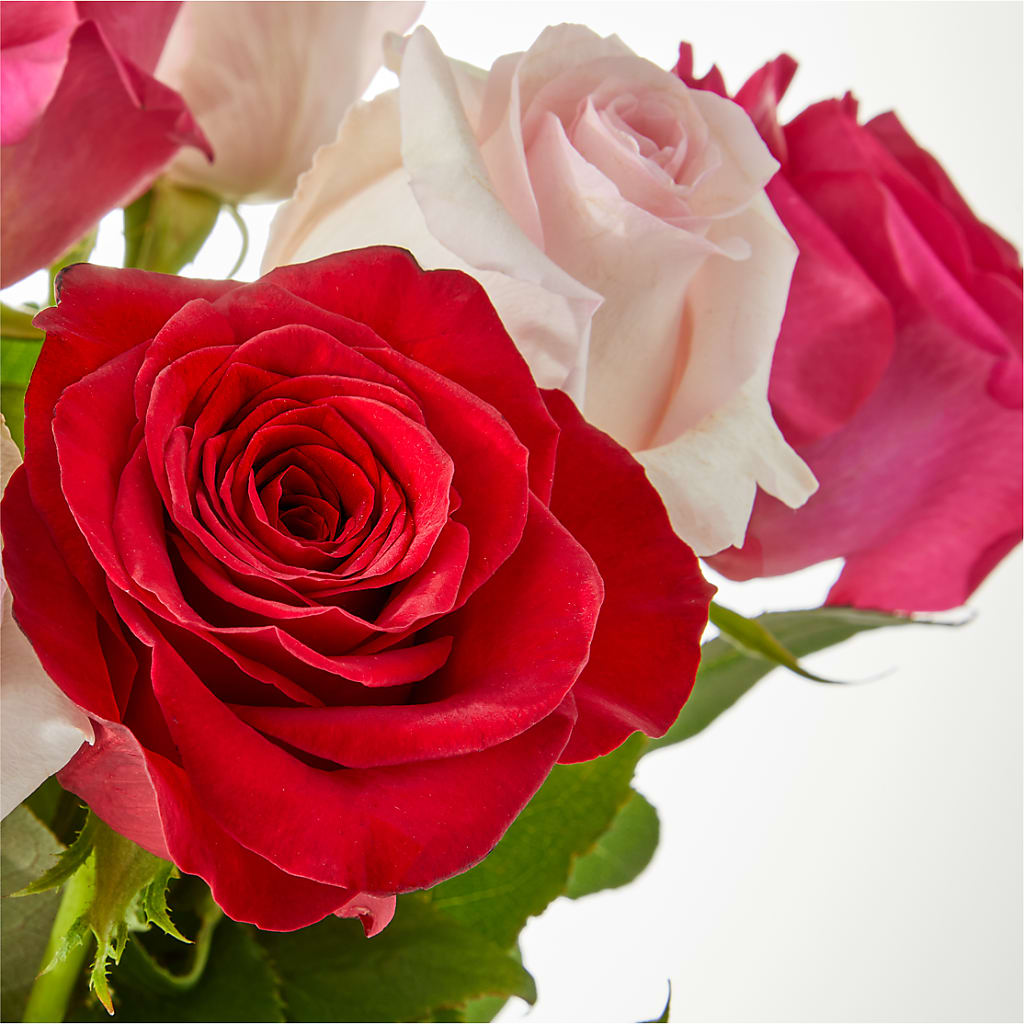 Charming Rose Bouquet –  Flowers By Albert, Lowell MA