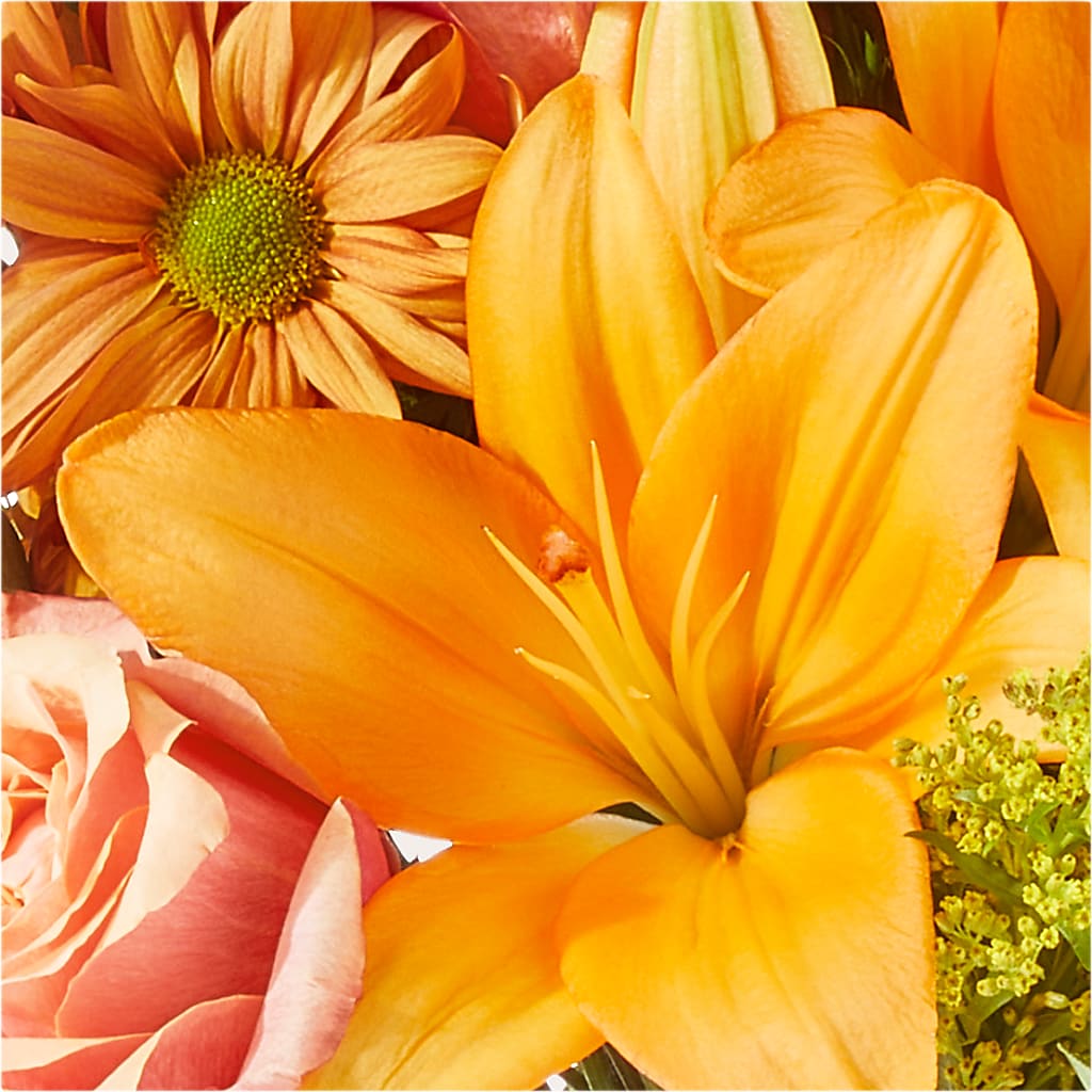 Harvest Hayride Bouquet –  Flowers By Albert, Lowell MA