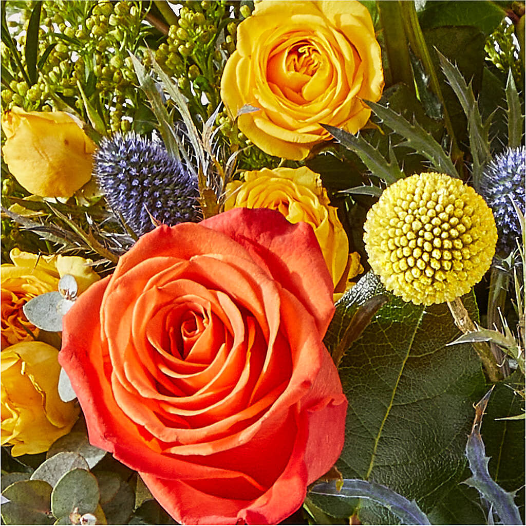 Disco Bouquet –  Flowers By Albert, Lowell MA