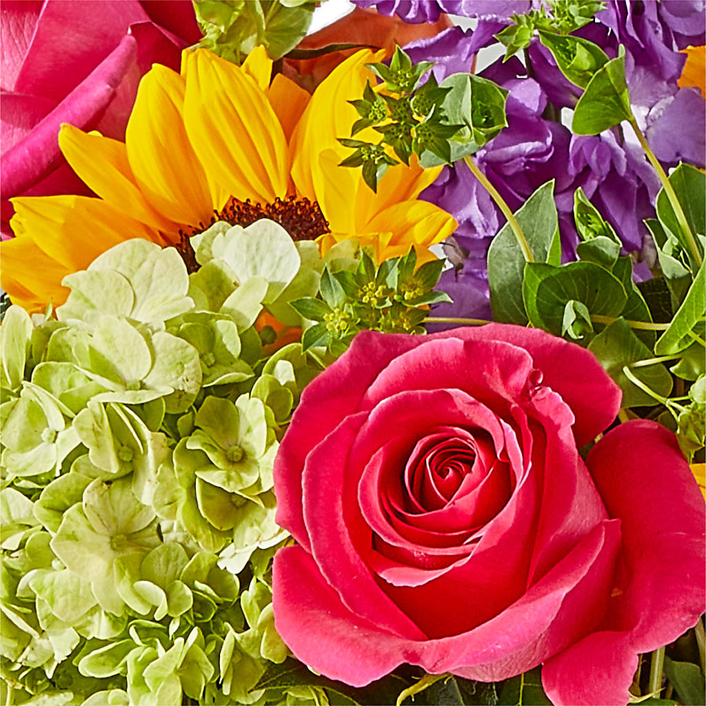 Vibrant Greetings Bouquet –  Flowers By Albert, Lowell MA