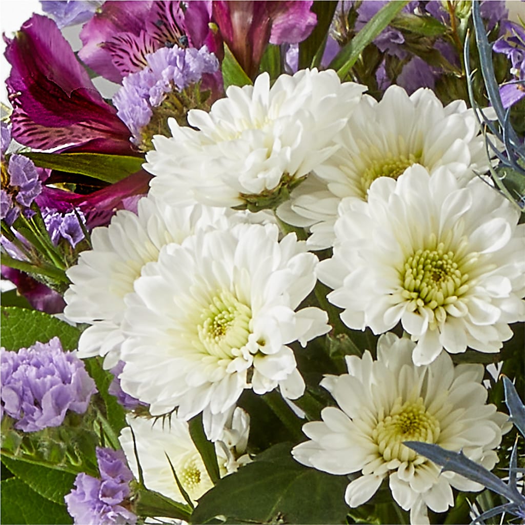 Shooting Star Bouquet –  Flowers By Albert, Lowell MA