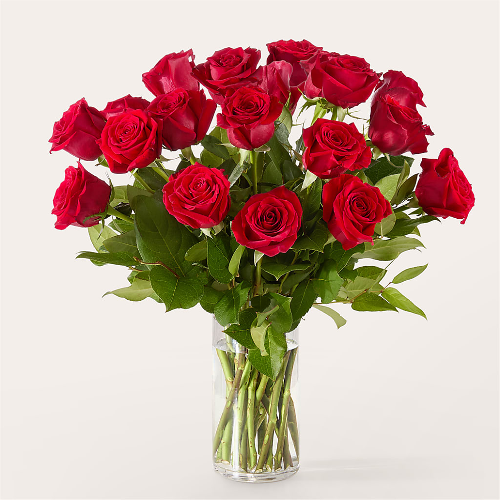The One Red Rose Bouquet –  Flowers By Albert, Lowell MA