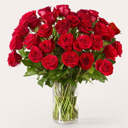 The One Red Rose Bouquet –  Flowers By Albert, Lowell MA