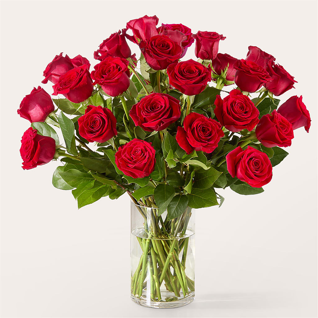 The One Red Rose Bouquet –  Flowers By Albert, Lowell MA