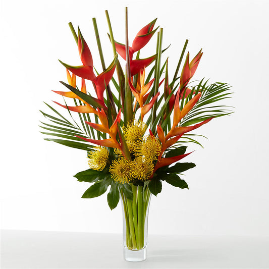 The Drama –  Flowers By Albert, Lowell MA