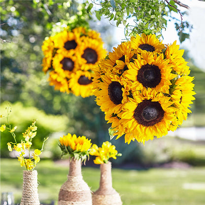 Sublime Garden Hanging Arrangement –  Flowers By Albert, Lowell MA