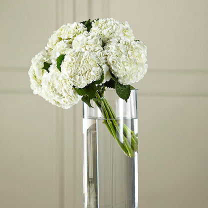 White Hydrangea Hand-Tied Bouquet –  Flowers By Albert, Lowell MA