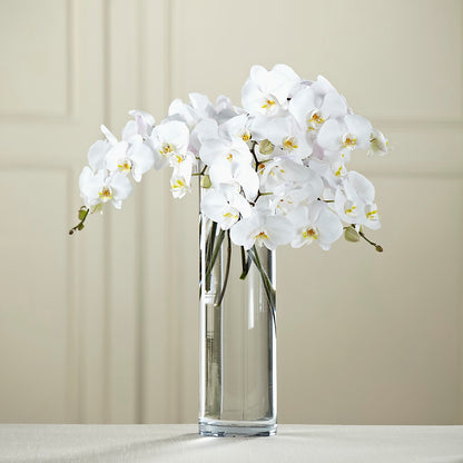 White Phalaenopsis Bouquet –  Flowers By Albert, Lowell MA