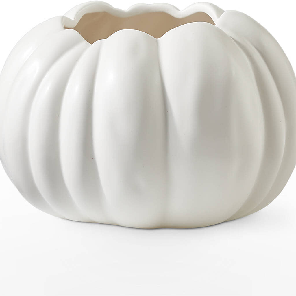 Pumpkin to Talk About Bouquet –  Flowers By Albert, Lowell MA
